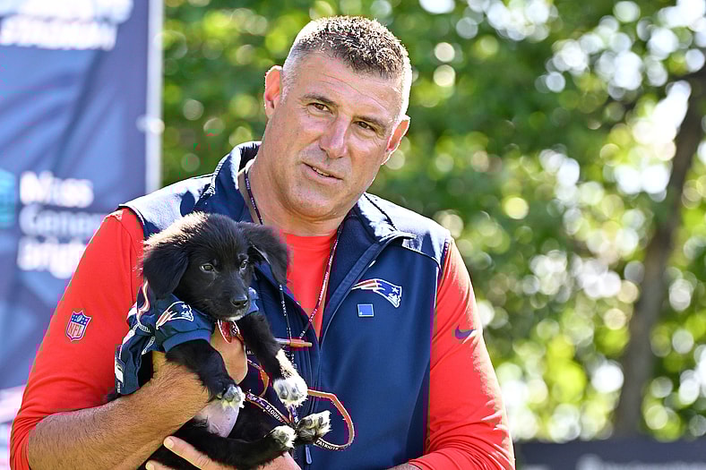 New England Patriots schedule predictions