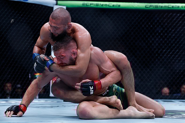 ufc pound for pound rankings