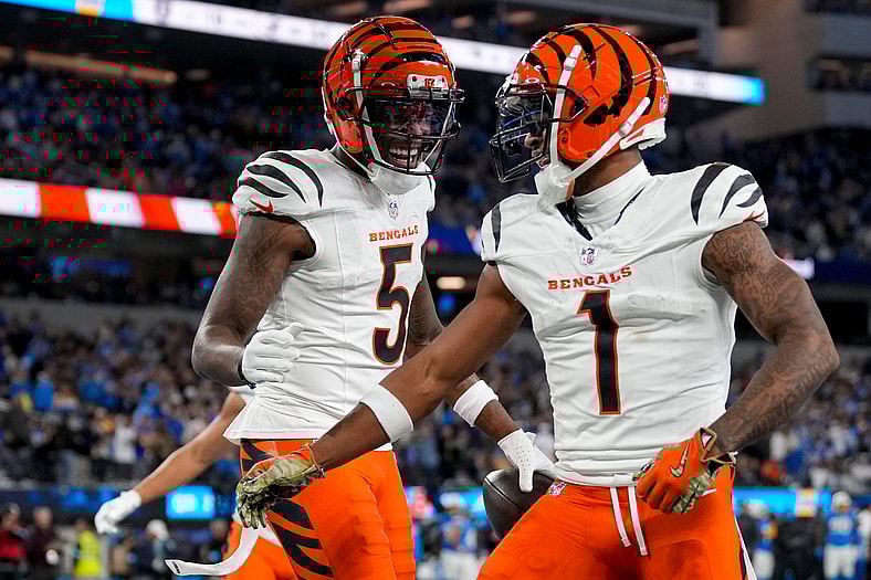 Cincinnati Bengals schedule predictions, Bengals predictions 2025
