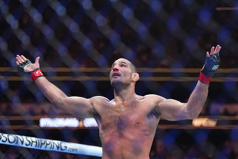 ufc middleweight rankings