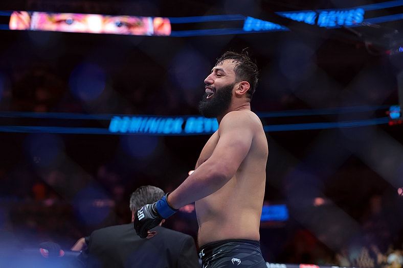 ufc light heavyweight rankings