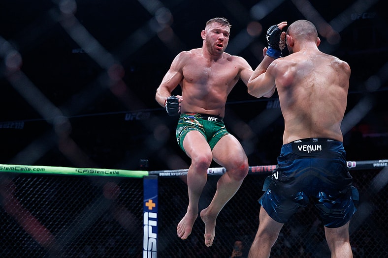 ufc middleweight rankings