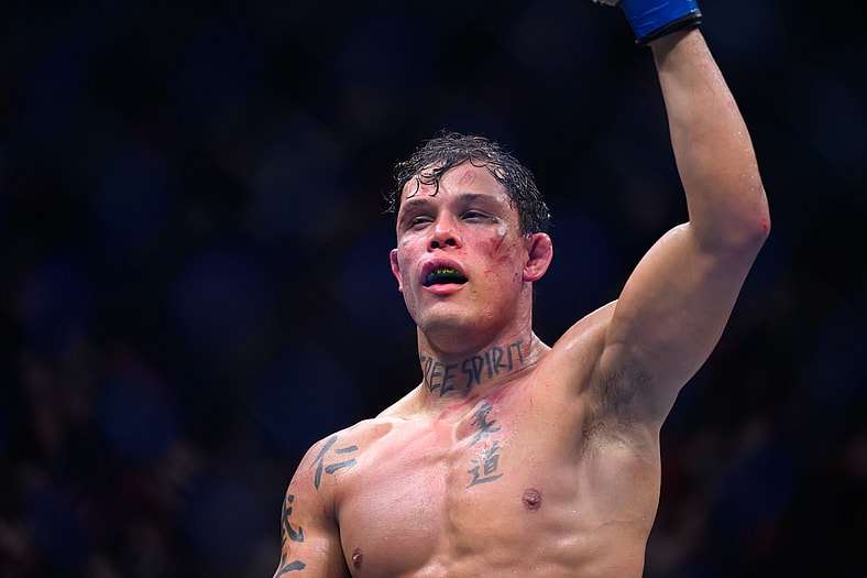 ufc middleweight rankings