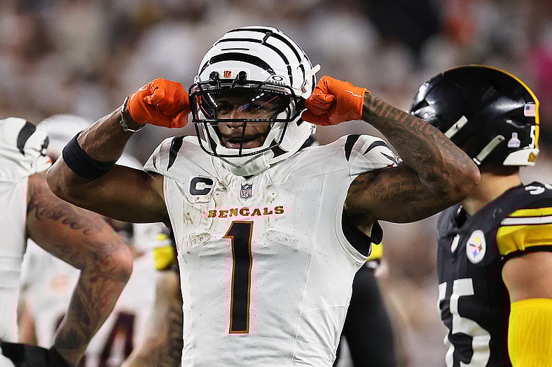 NFL: Pittsburgh Steelers at Cincinnati Bengals