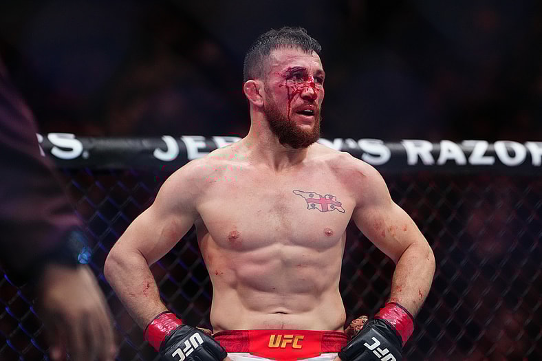 ufc pound for pound rankings