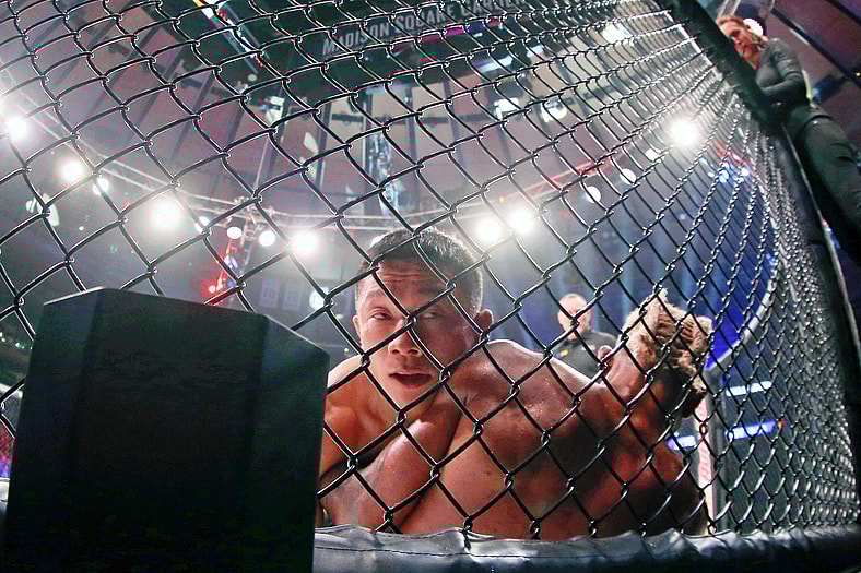 ufc flyweight rankings