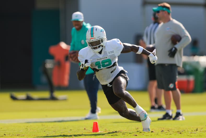 miami dolphins