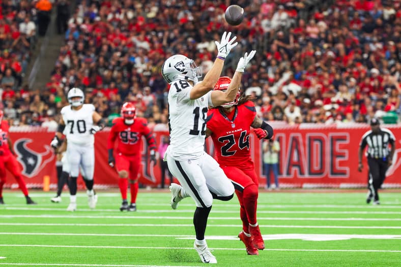 NFL: Las Vegas Raiders at Houston Texans