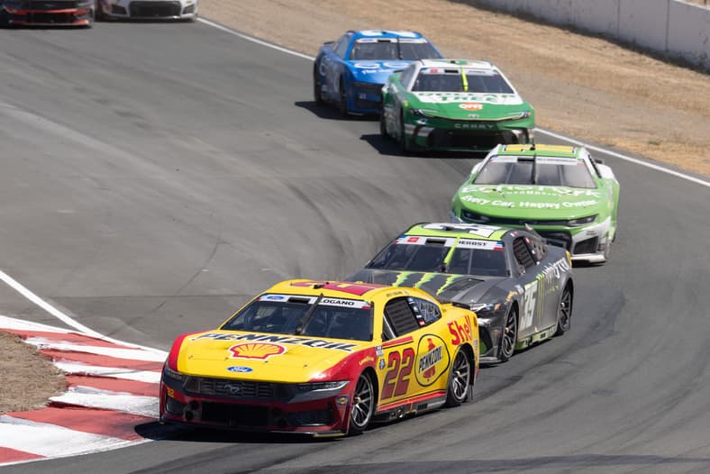 NASCAR Standings Today, Cup Series Points Leaders, The Chase Cutline