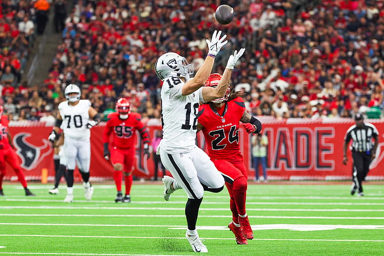 NFL: Las Vegas Raiders at Houston Texans