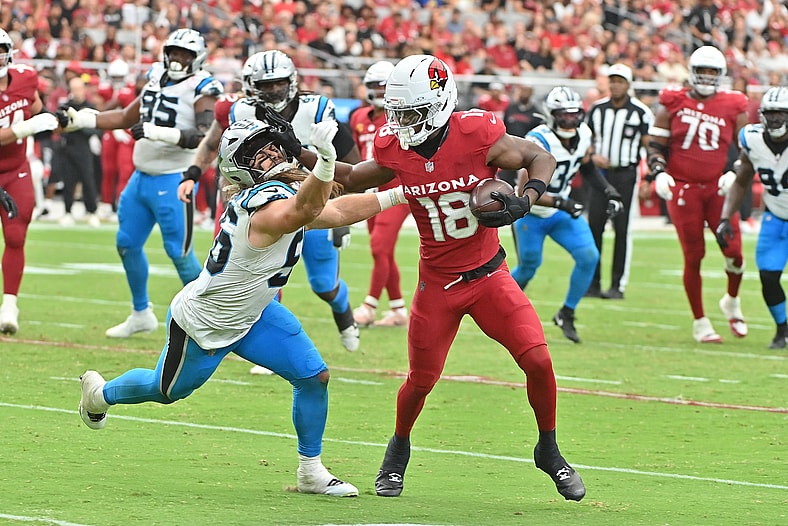NFL: Carolina Panthers at Arizona Cardinals