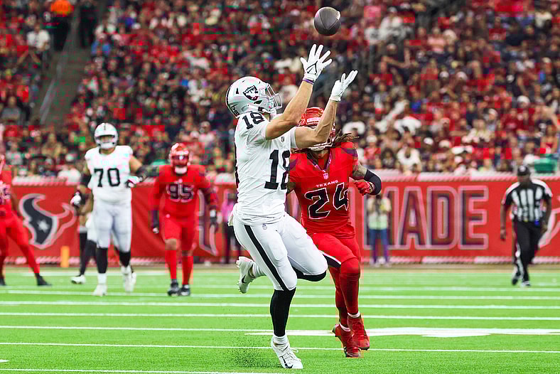 NFL: Las Vegas Raiders at Houston Texans