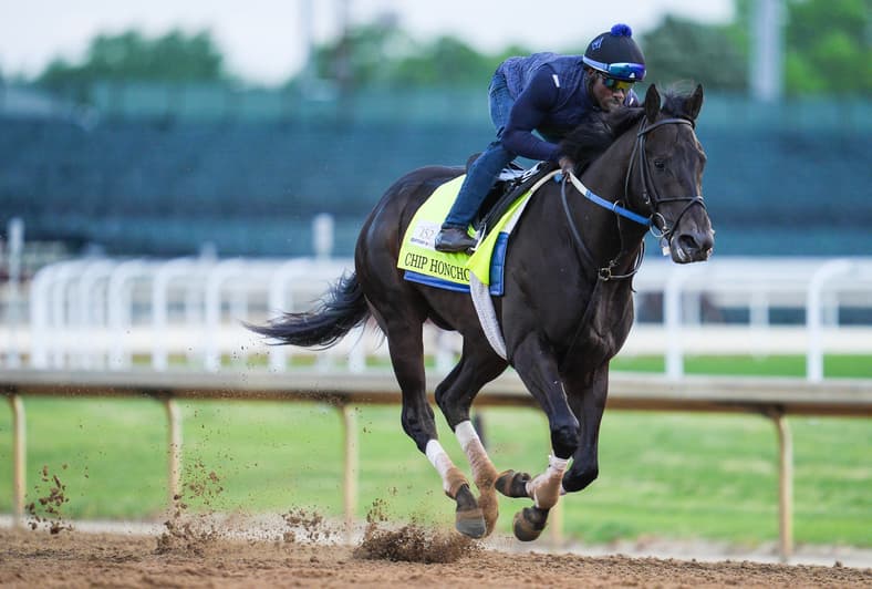 preakness stakes