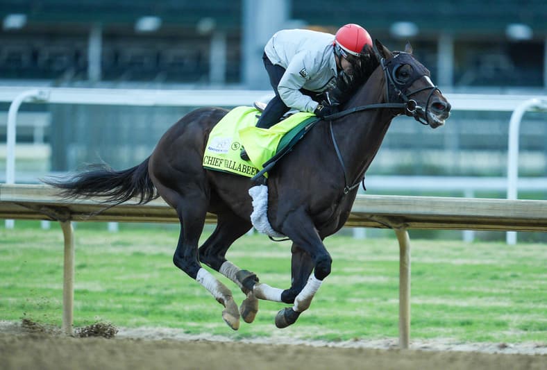 belmont stakes