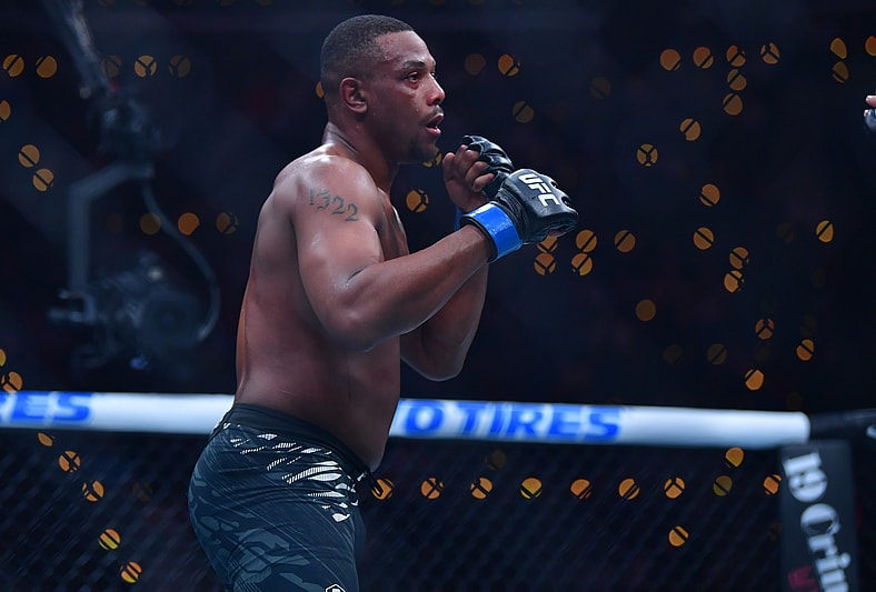 ufc light heavyweight rankings