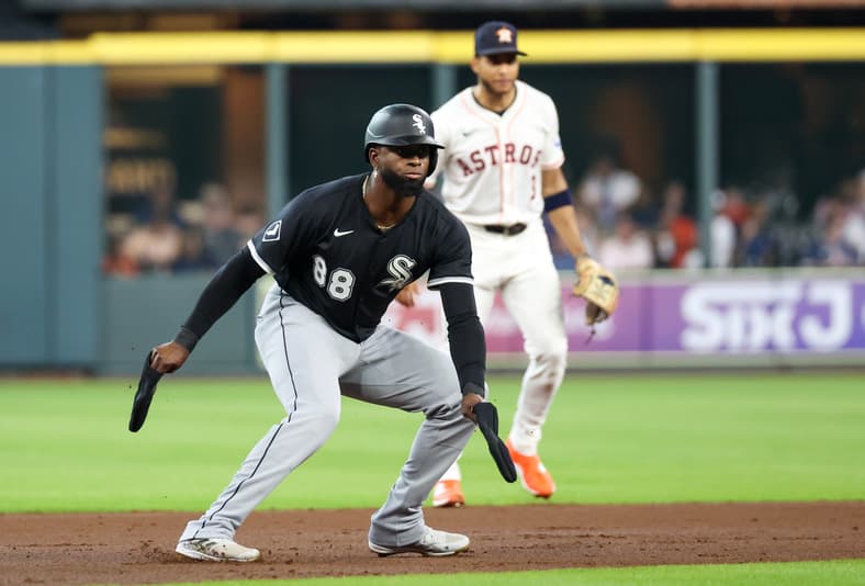 luis robert