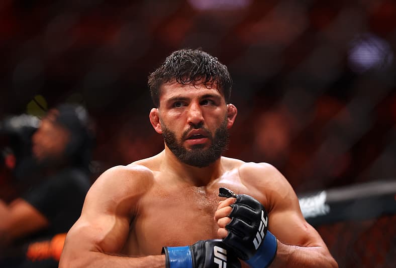 MMA: UFC 300 - Oliveira vs Tsarukyan