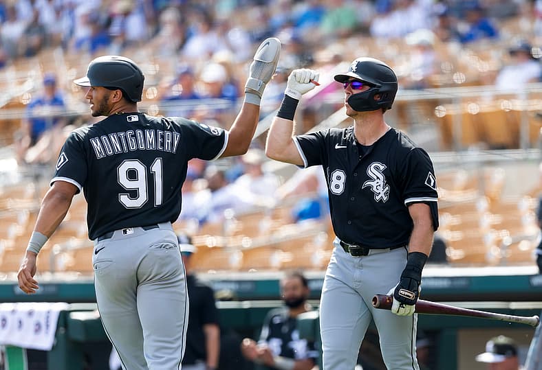 MLB Rumors, Chicago White Sox, Braden Montgomery
