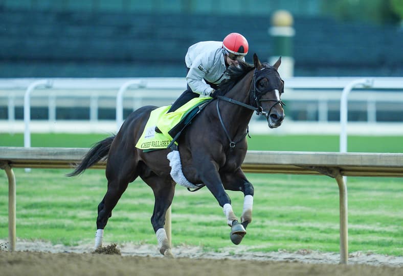 kentucky derby
