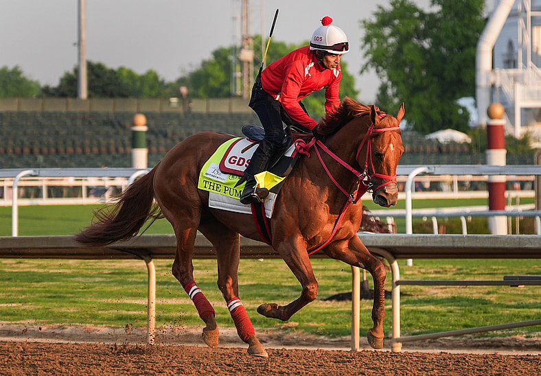 kentucky derby