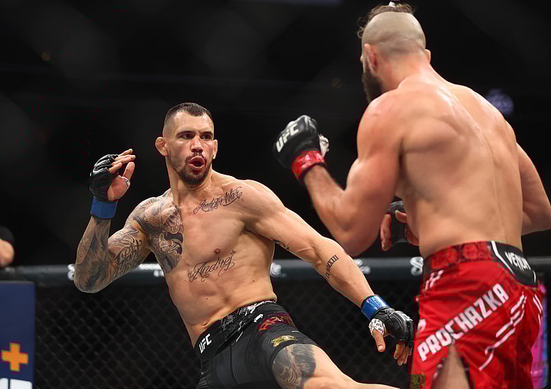 ufc light heavyweight rankings