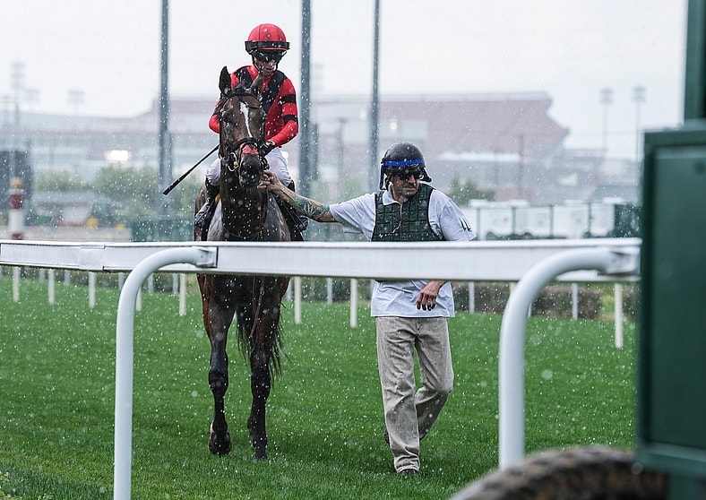 preakness stakes horses