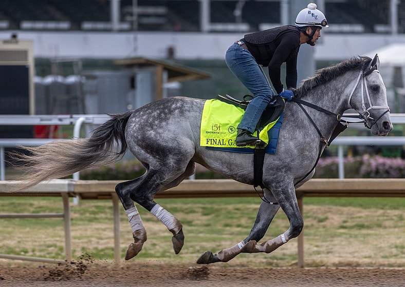 kentucky derby horses