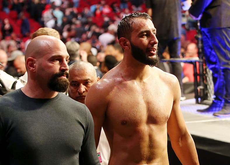 ufc light heavyweight