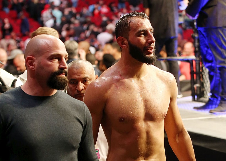 ufc light heavyweight