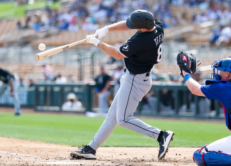 MLB: Spring Training-Chicago White Sox at Los Angeles Dodgers