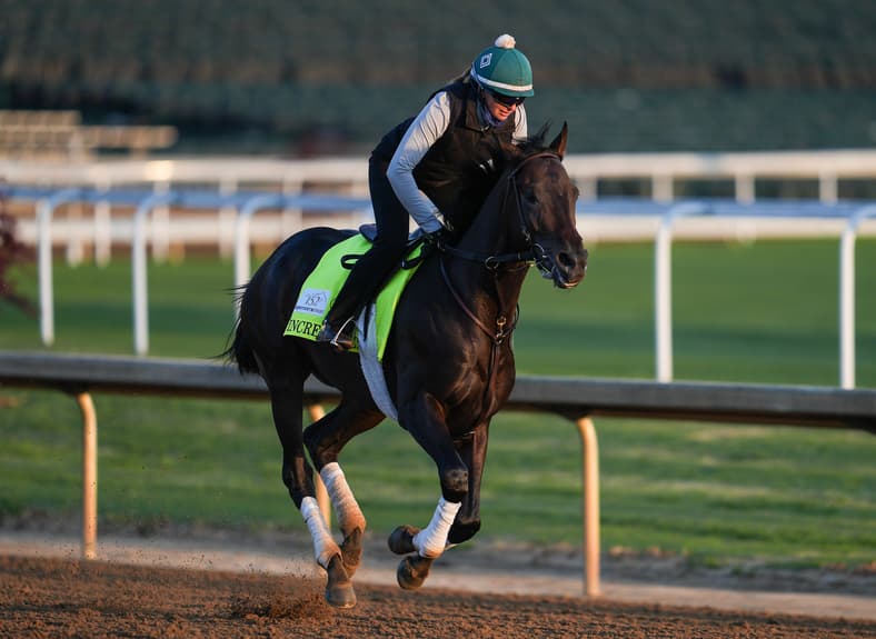 preakness stakes