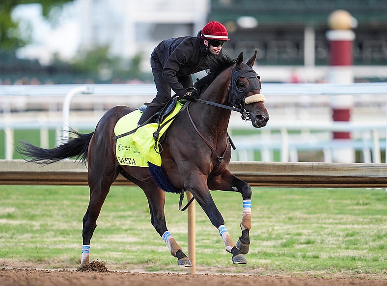 kentucky derby horses