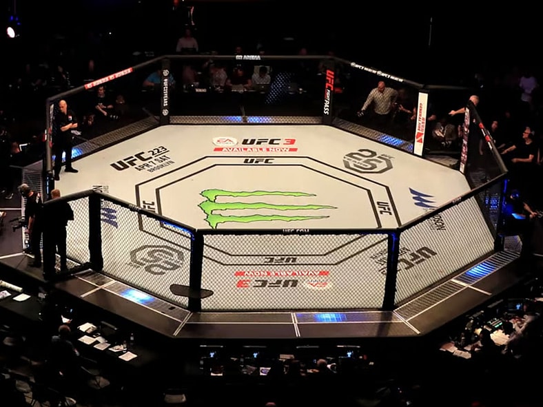 Bas Rutten Getty Images