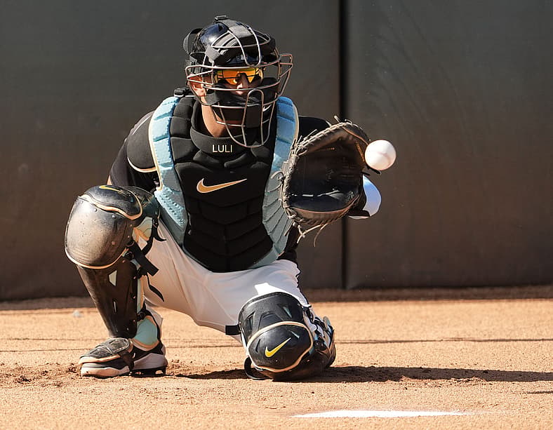 Best MLB catchers 2026
