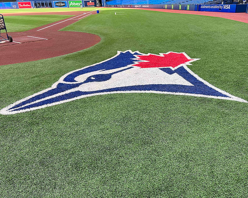 blue jays
