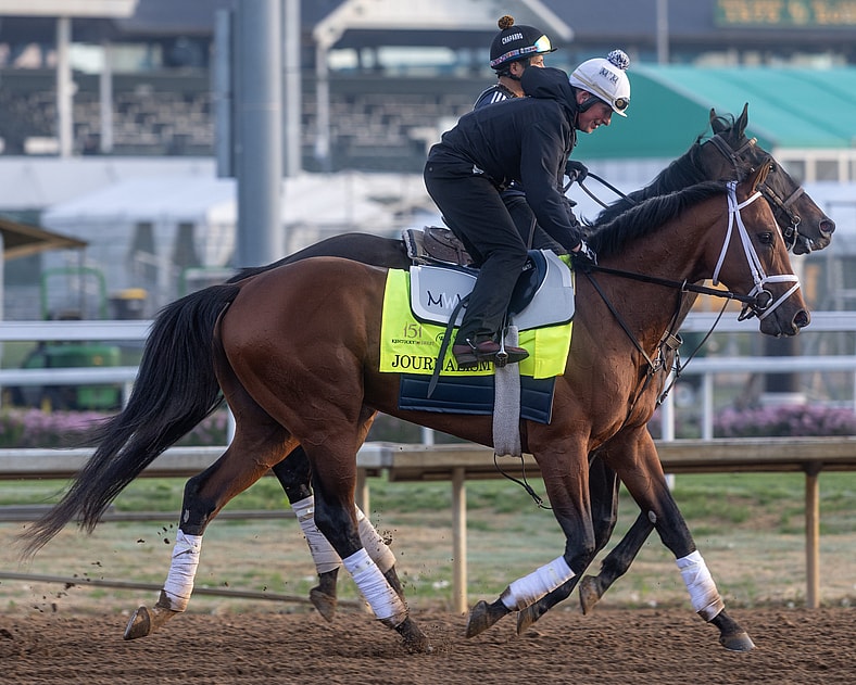 kentucky derby horses