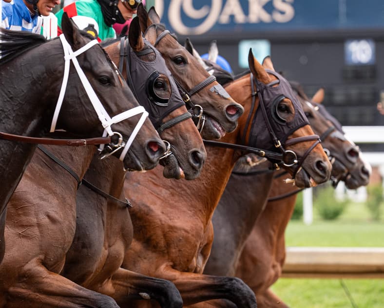Horses break from the starting gate in the first race of the day at the 152nd Kentucky Derby at Churchill Downs on May 2, 2026.