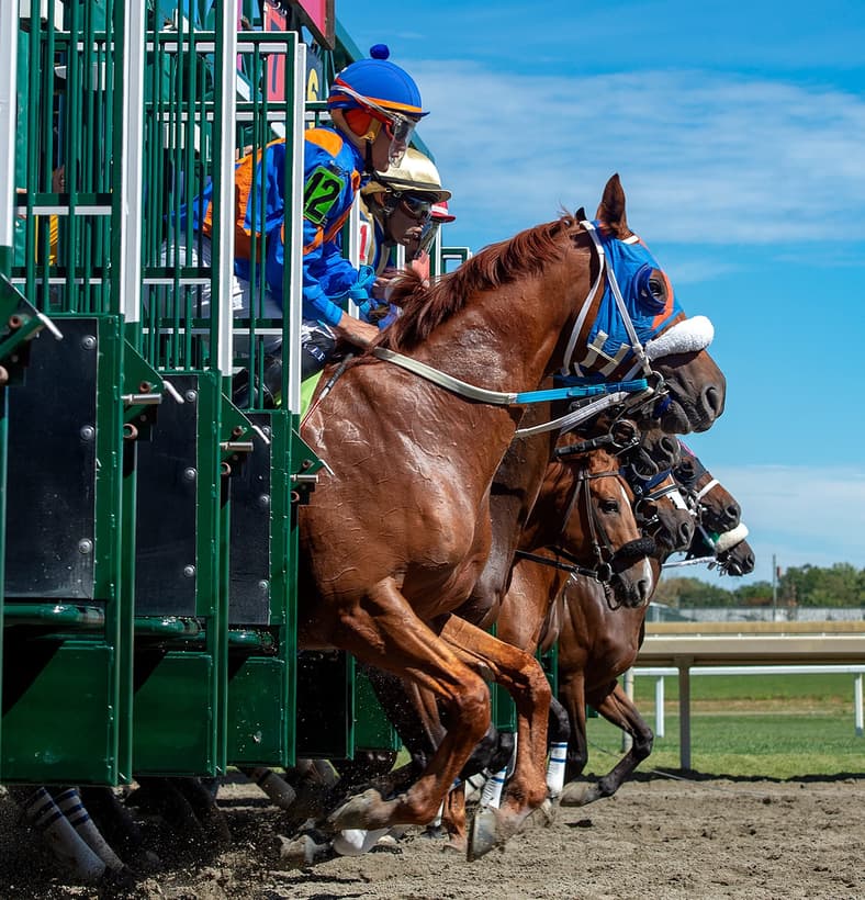 Horses come out of the gate at the start of the $100,000 Patrick J. Rooney Continental/Keystone Classic for three year-olds and