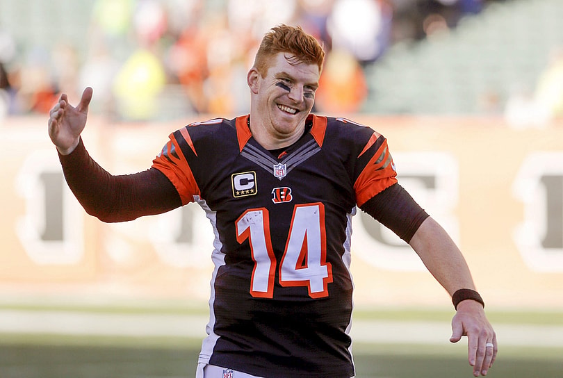 Oct 11, 2015; Cincinnati, OH, USA; Cincinnati Bengals quarterback Andy Dalton (14) celebrates after his team defeated the Seattle Seahawks at Paul Brown Stadium. Cincinnati defeated Seattle 27-24. Mandatory Credit: Mark Zerof-USA TODAY Sports