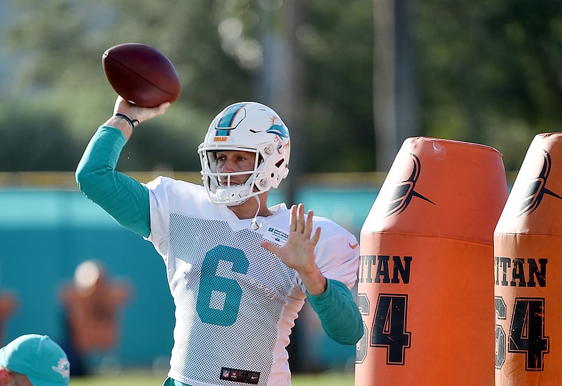 Miami Dolphins Jay Cutler NFL