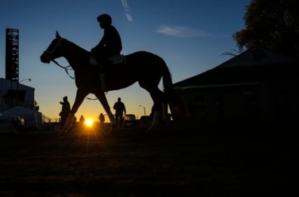 Grade 1-winning son of Curlin sold to stand in Turkey from 2027