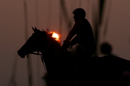 Crude Velocity heads deep Woody Stephens field at Saratoga