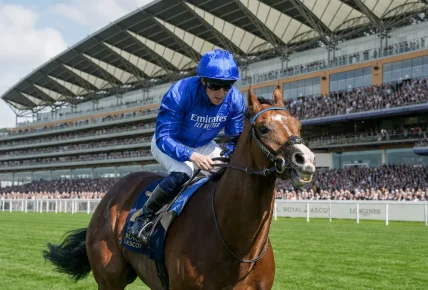 Ombudsman Next Races – When Will The ‘Best Horse In The World' Run Again?